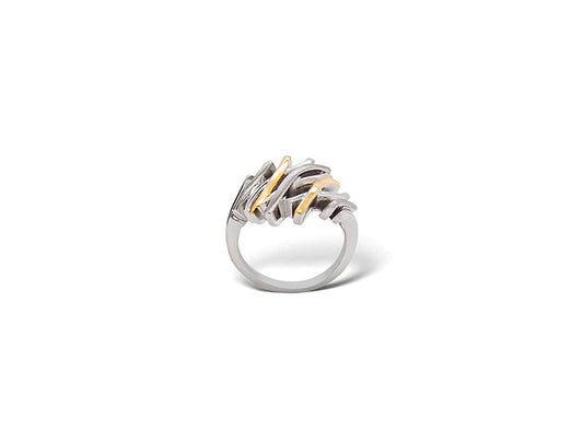 Two Tone Ring R7401 - Rings