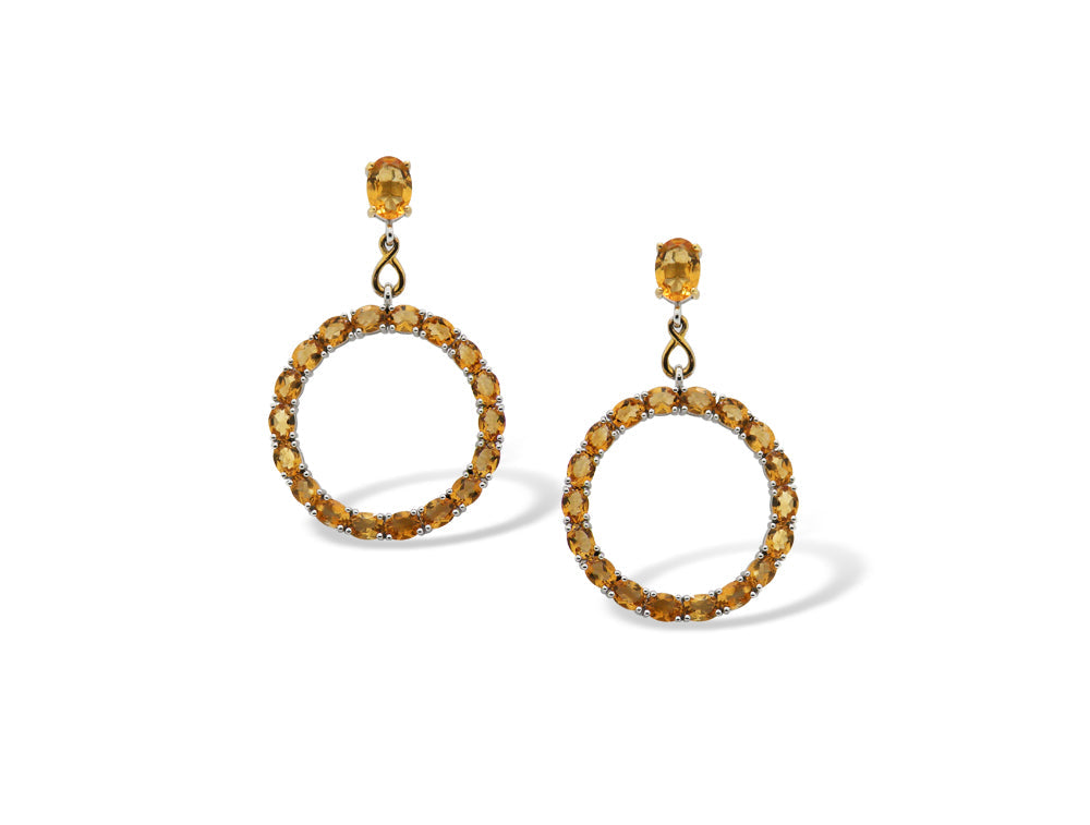 E8461 GEMSTONE CIRCLE EARRING - view 4