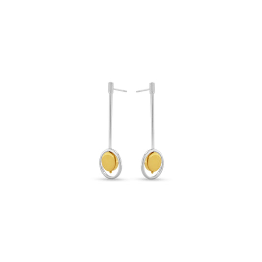 Silver &Gold Plated Earring E18819