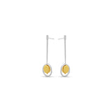 Silver &Gold Plated Earring E18819