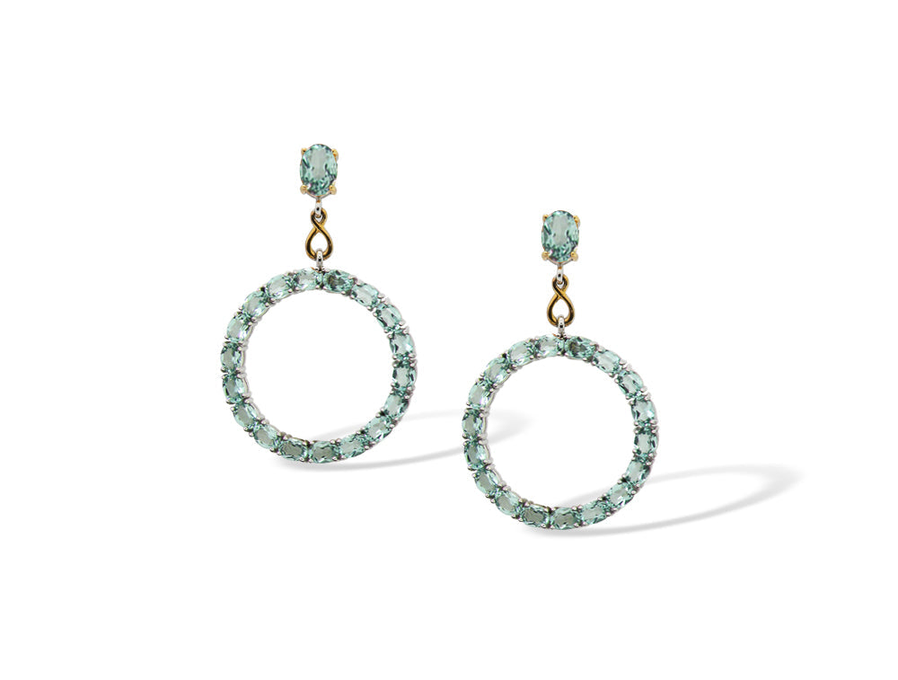 E8461 GEMSTONE CIRCLE EARRING