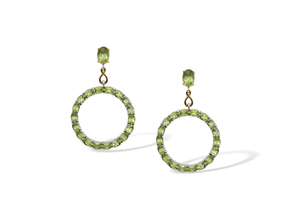E8461 GEMSTONE CIRCLE EARRING - view 2