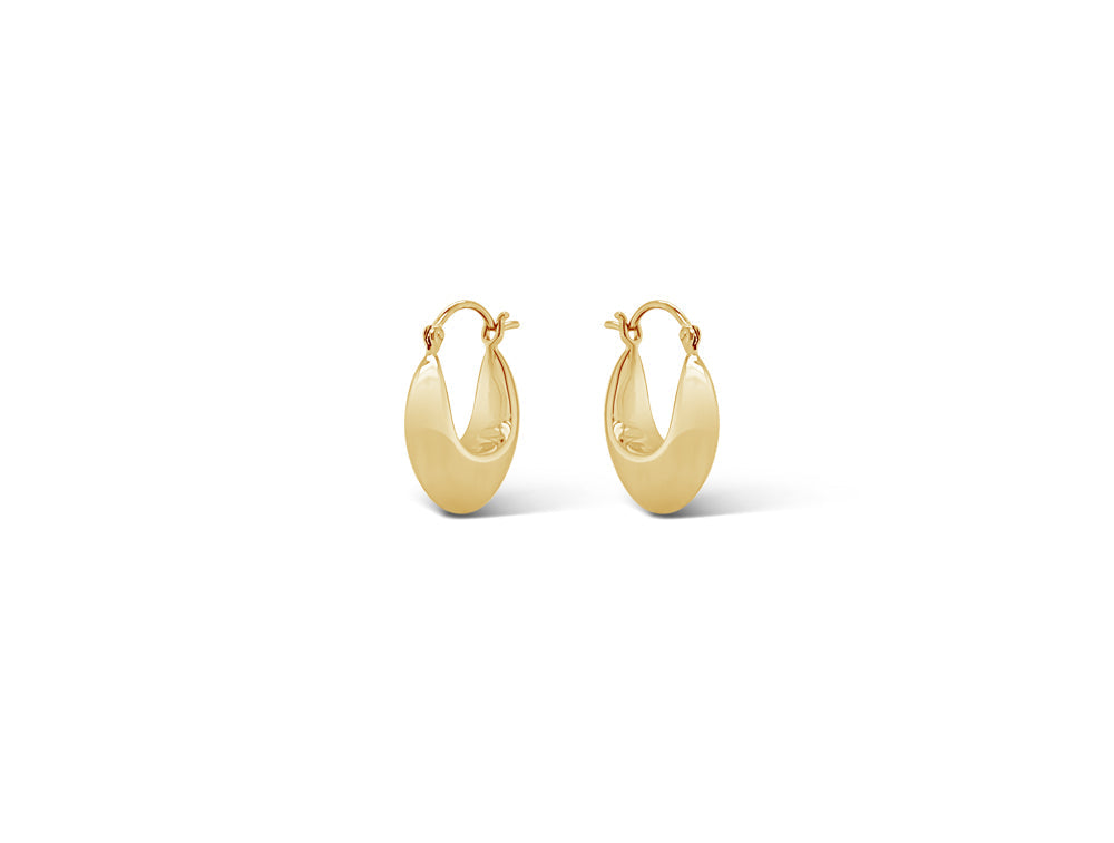 Silver 14k Gold Finish Earring E20293