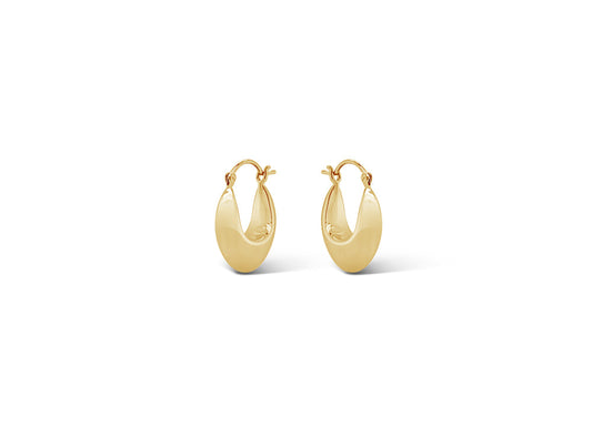 Silver 14k Gold Finish Earring E20293