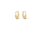 Silver 14k Gold Finish Earring E20293