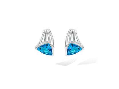 Amethyst and Blue Topaz earrings in sterling silver, style E9868 - view 4