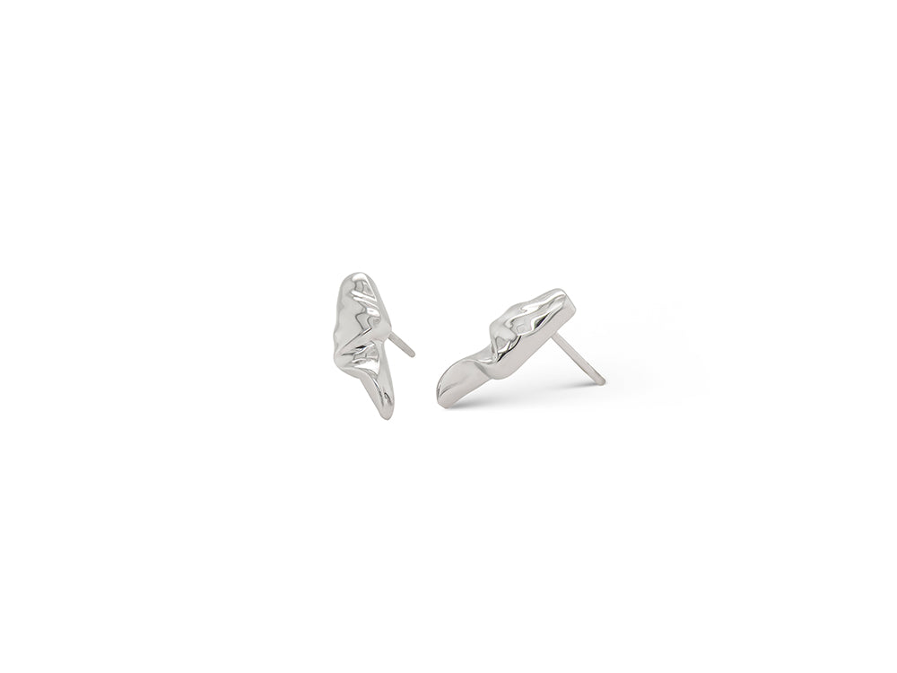 Sterling silver earrings, style E5889