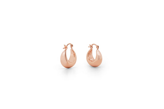 Silver Earring E20295 - Joryel Vera Jewelry